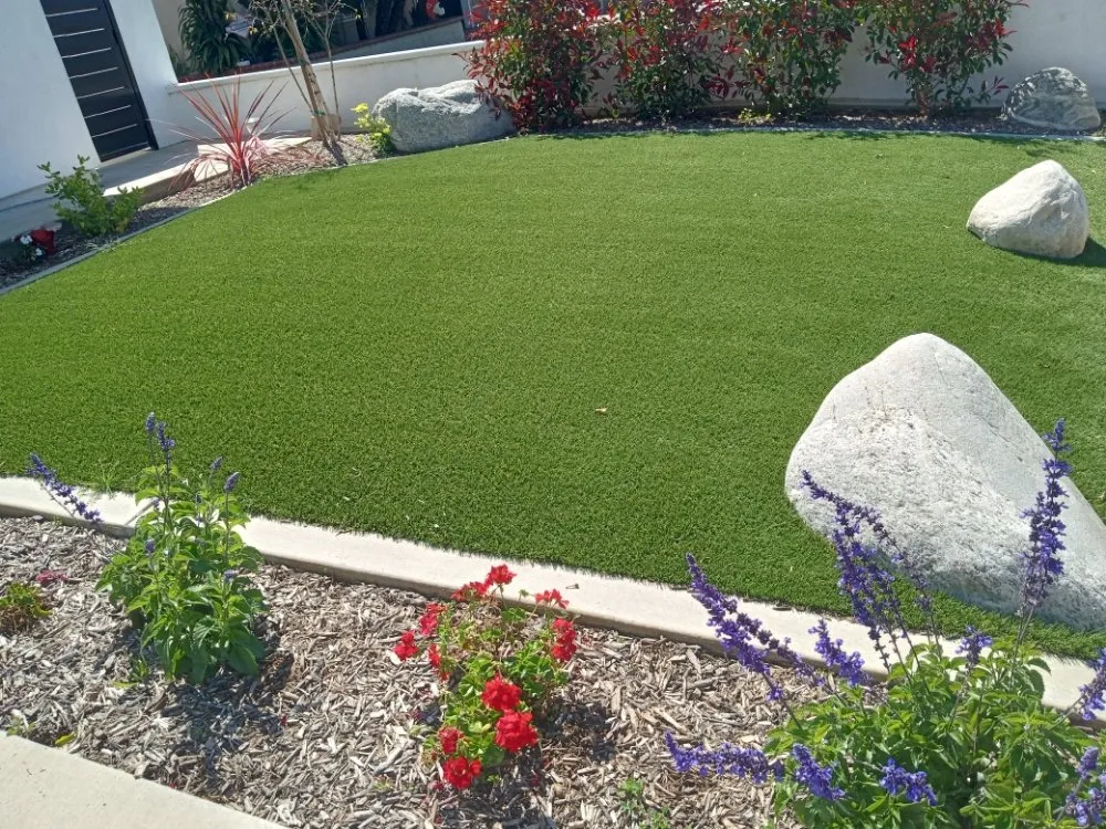 Professional yard cleanup service in Placentia, CA - Sergio Land Scaping