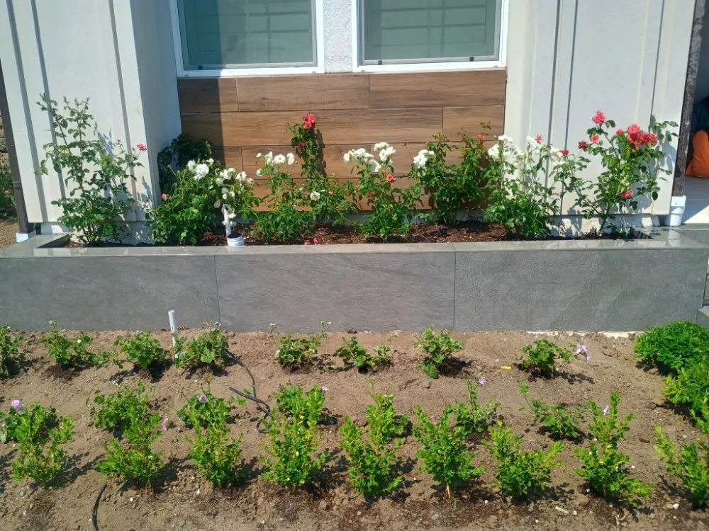 Reliable outdoor landscaping in Placentia, CA by Sergio Land Scaping