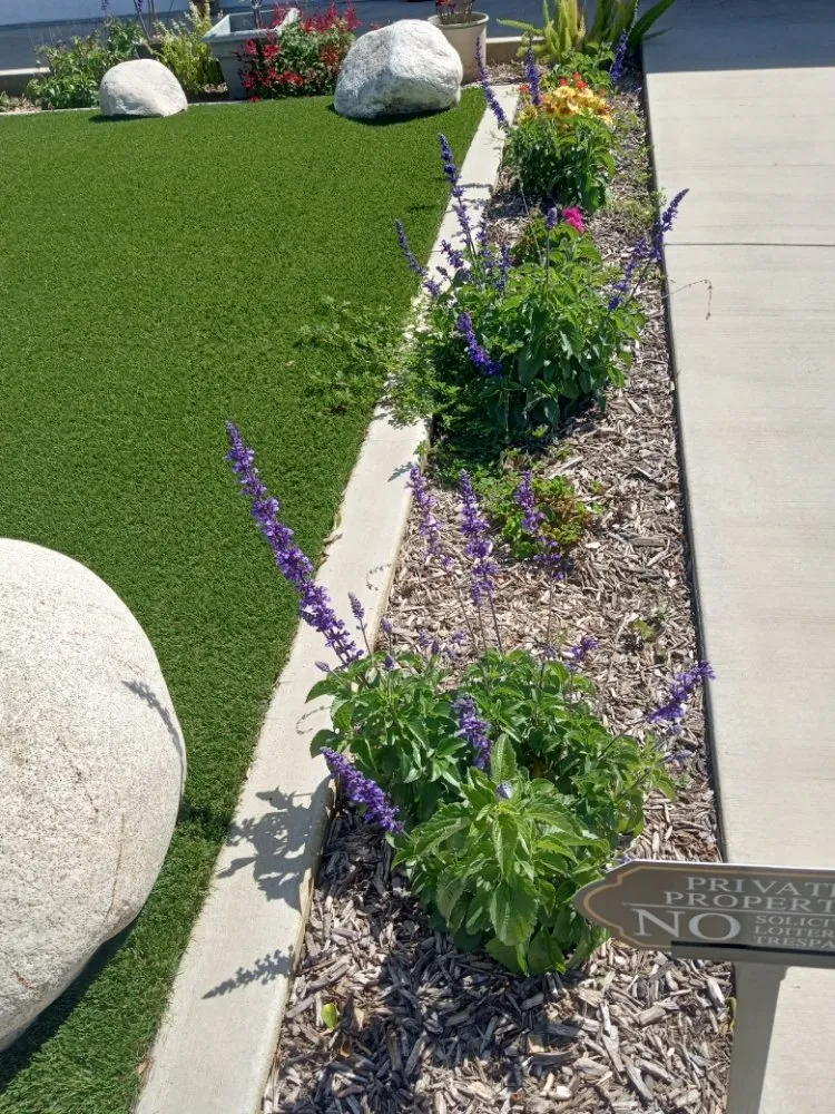 Professional lawn care service for beautiful yards across Placentia, CA - Sergio Land Scaping