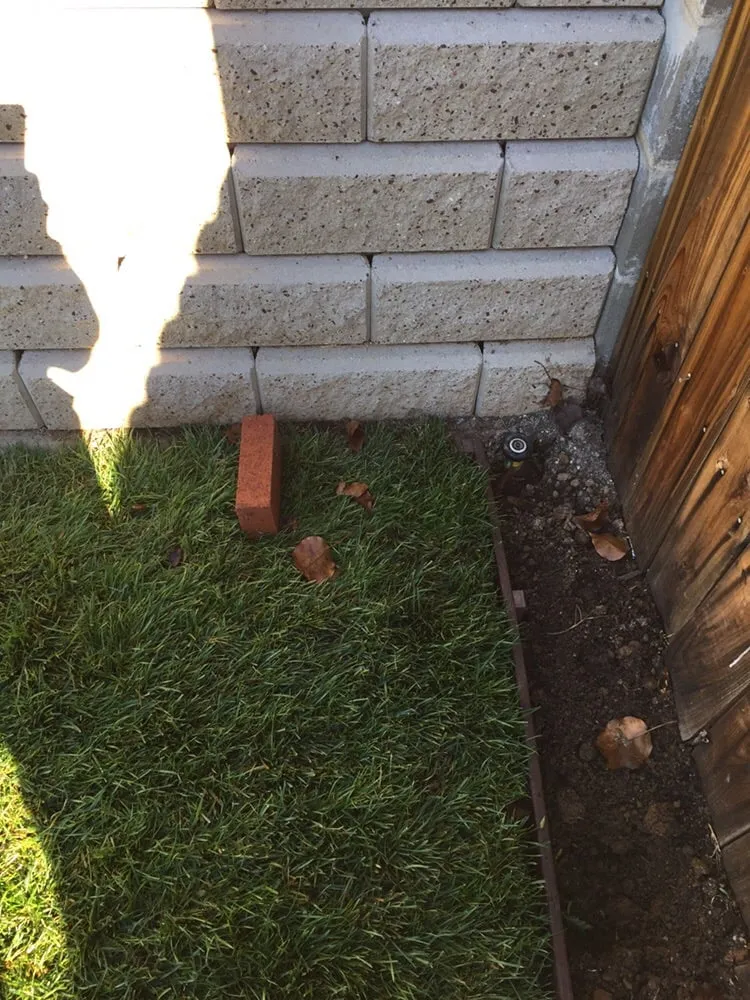 Trusted yard maintenance in Atascadero, CA by Sergio Landscape