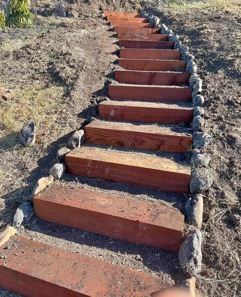 Reliable yard cleanup service in Stockton, CA by Sergio Landscaping Contractor