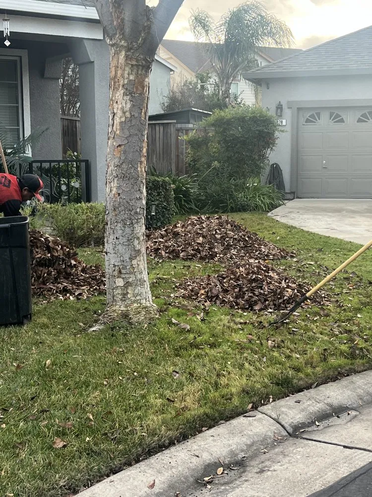 Top-rated lawn mowing service experts serving Stockton, CA - Sergio Landscaping Contractor