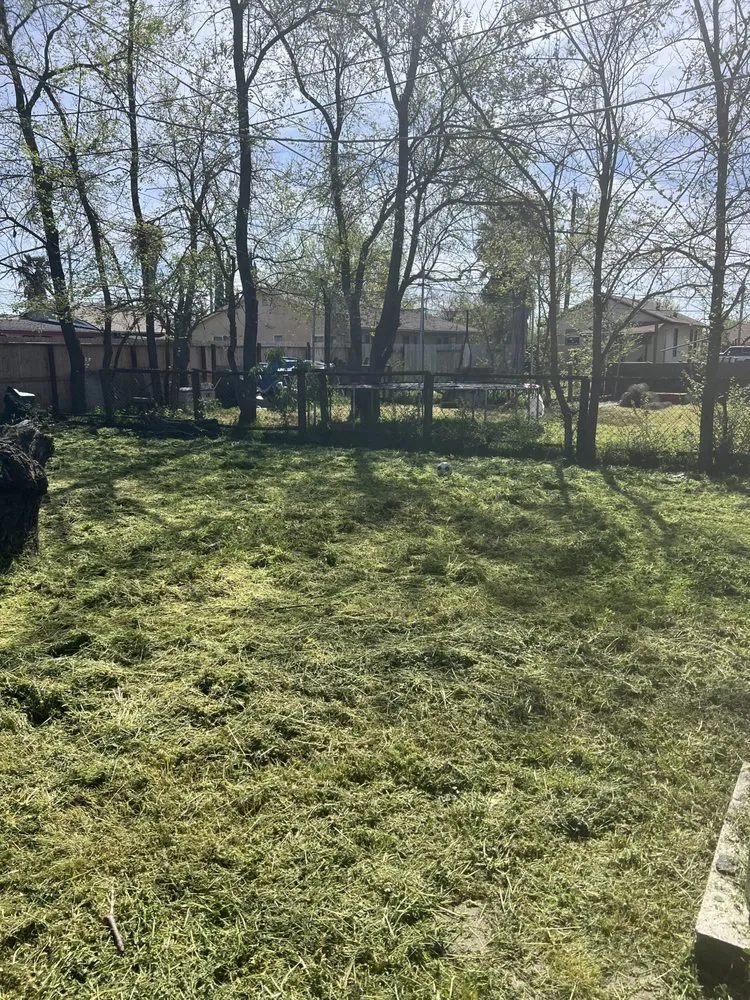 Top-rated residential landscaping in Stockton, CA - Sergio Landscaping Contractor