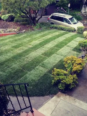 Sergio Landscaping Contractor Logo