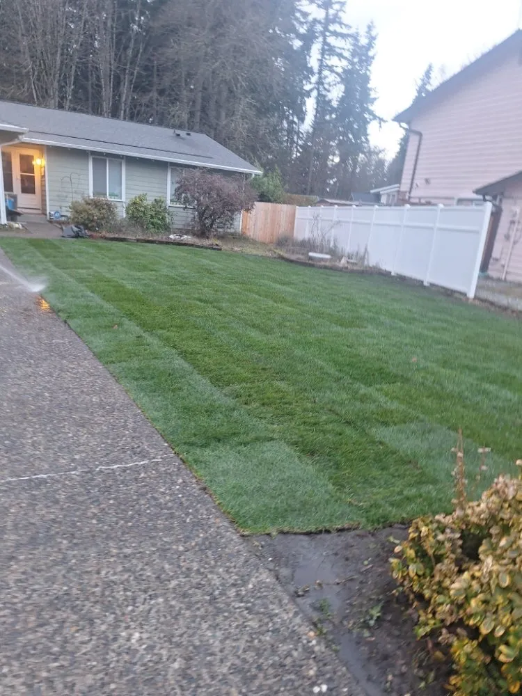 Local landscape installation for residential properties across Enumclaw, WA - Sergio Landscaping