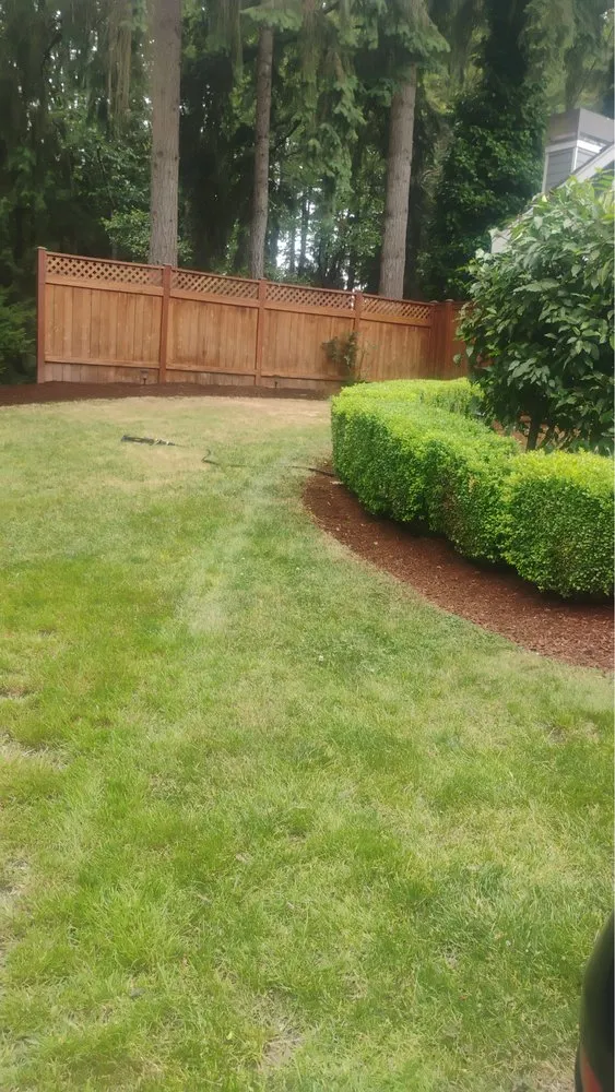 Affordable landscape installation in Kirkland, WA - Sergio Landscaping Service