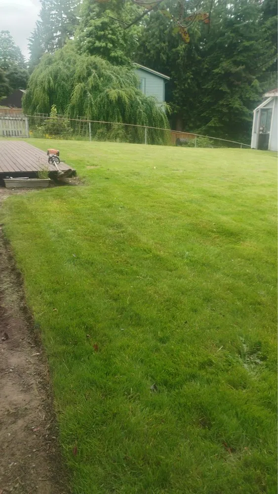 Reliable yard maintenance for year-round maintenance in Kirkland, WA by Sergio Landscaping Service