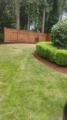 Sergio Landscaping Service