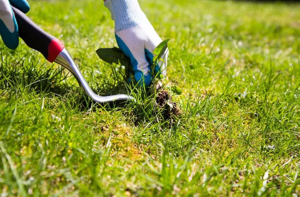 Reliable lawn mowing service with custom design in Worthington, MN by Sergio Landscaping