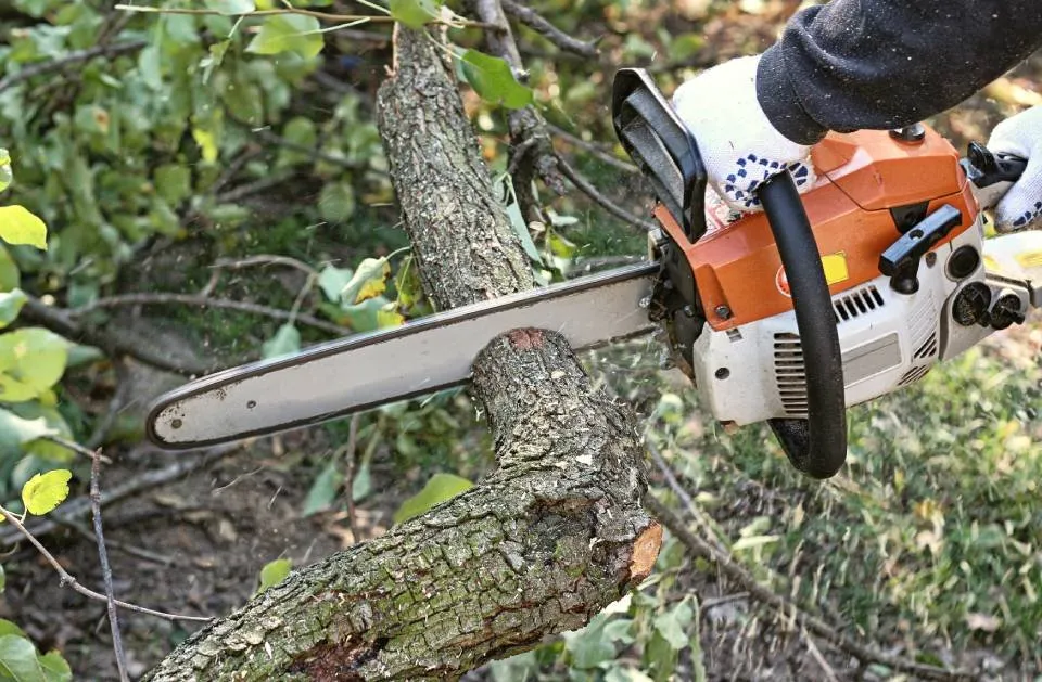 Reliable lawn mowing service in Worthington, MN - Sergio Landscaping