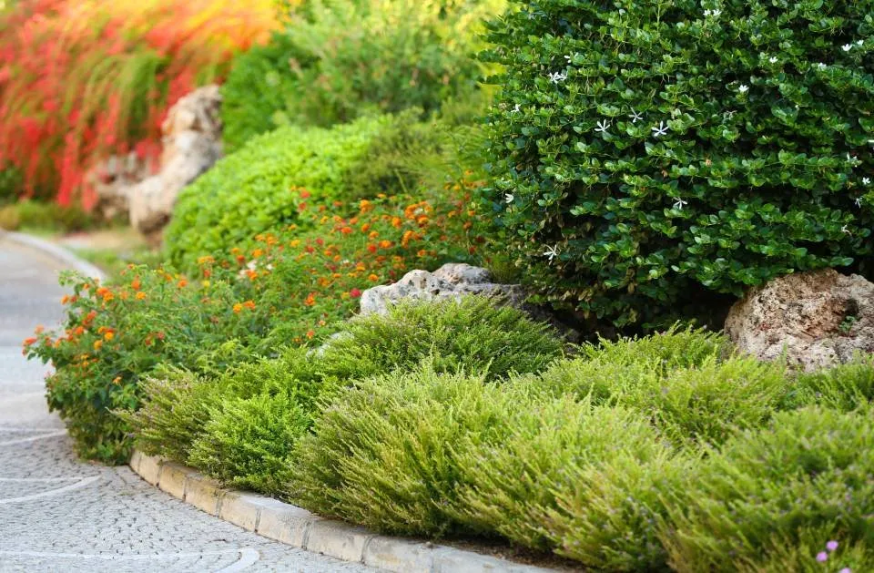 Affordable lawn mowing service in Worthington, MN by Sergio Landscaping