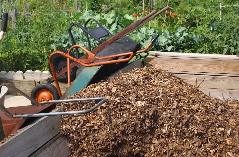 Trusted yard cleanup service with custom design in Worthington, MN by Sergio Landscaping