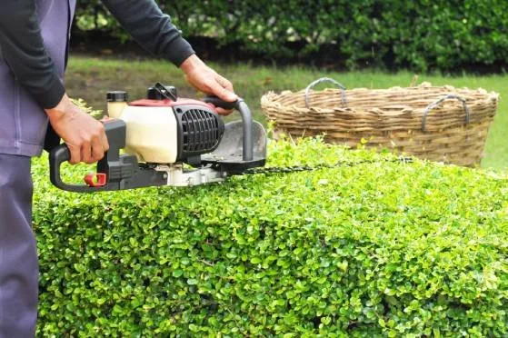 Top-rated residential landscaping in Worthington, MN - Sergio Landscaping