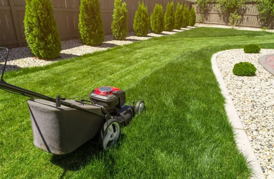 Expert yard cleanup service experts serving Worthington, MN - Sergio Landscaping