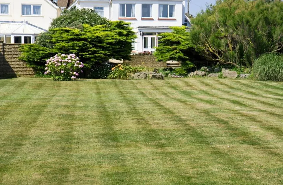 Local lawn care service for beautiful yards across Worthington, MN - Sergio Landscaping