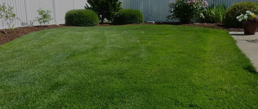 Professional yard maintenance with custom design in Worthington, MN by Sergio Landscaping