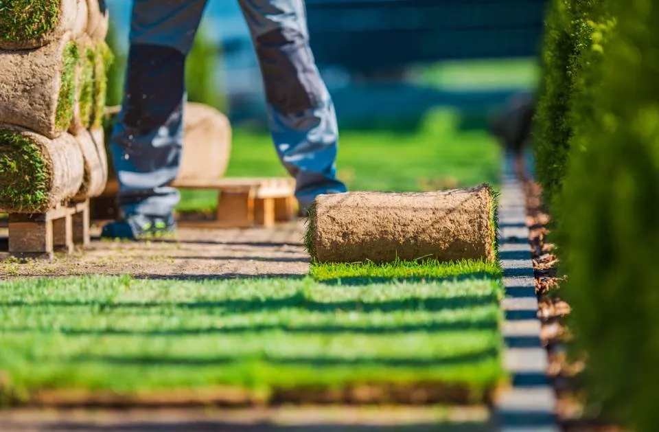 Reliable yard cleanup service for year-round maintenance in Worthington, MN by Sergio Landscaping