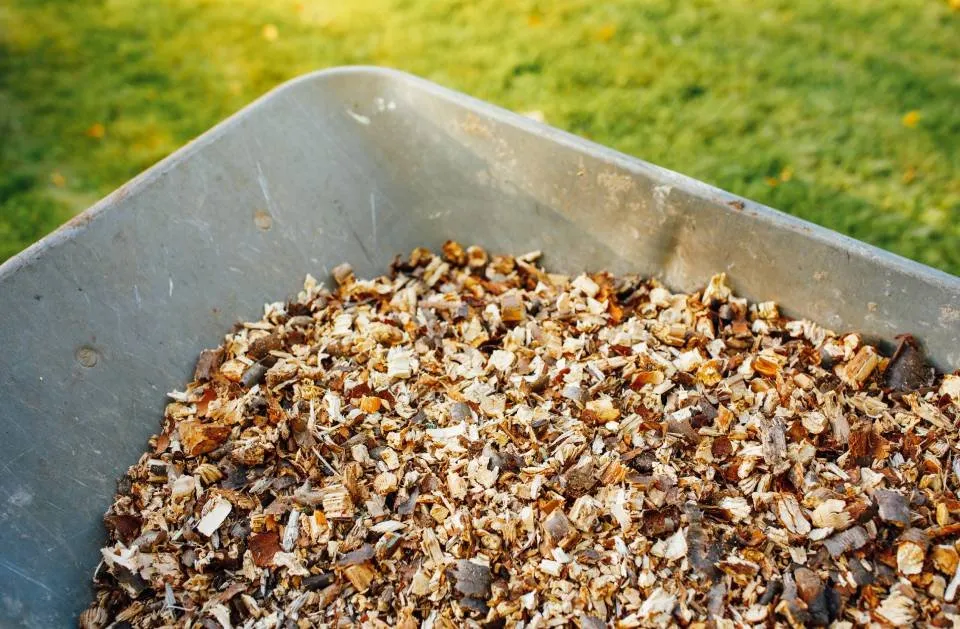 Top-rated yard maintenance experts serving Worthington, MN - Sergio Landscaping