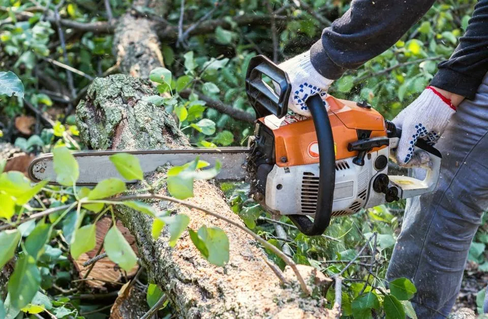 Expert lawn care service in Worthington, MN by Sergio Landscaping