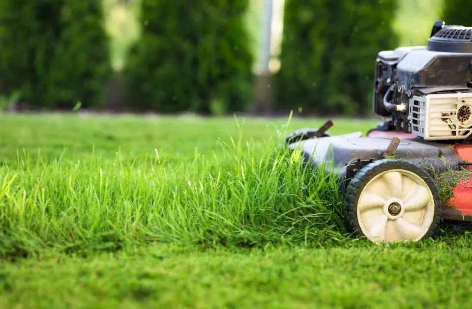 Top-rated lawn care service experts serving Worthington, MN - Sergio Landscaping