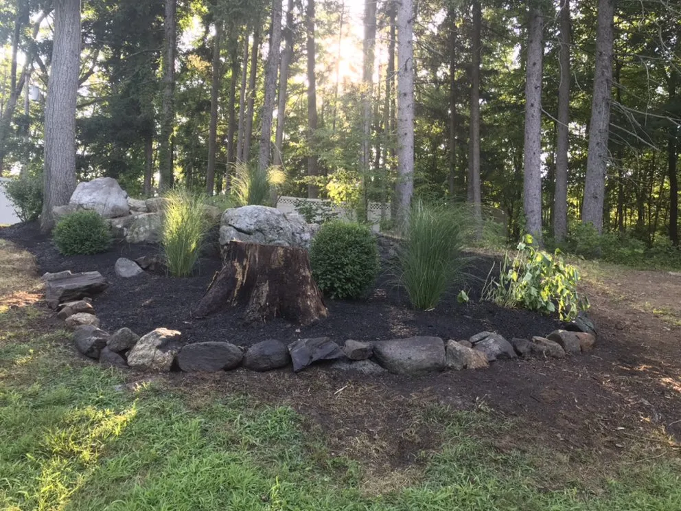 Local yard maintenance in Danbury, CT - Sergio Reis