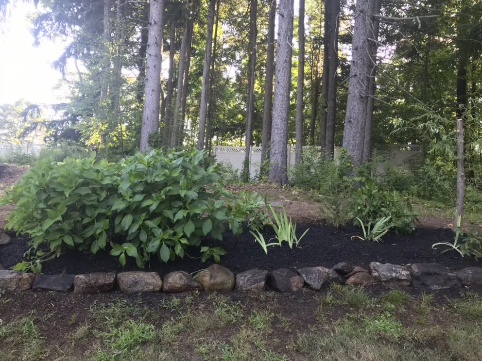 Expert garden landscaping for beautiful yards in Danbury, CT by Sergio Reis