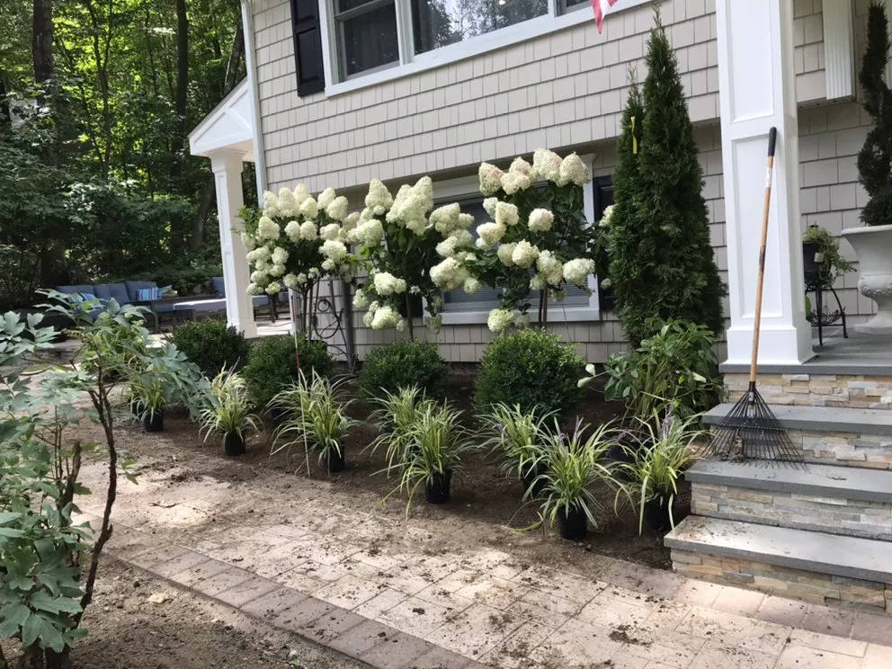 Custom lawn care service in Danbury, CT - Sergio Reis