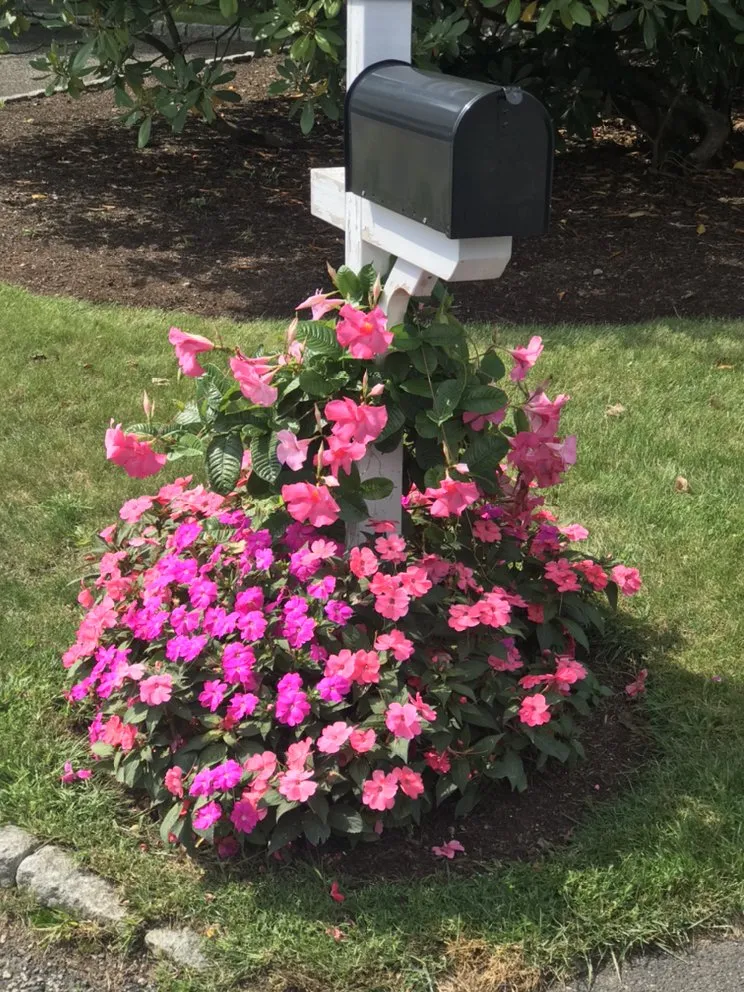 Top-rated yard cleanup service in Danbury, CT - Sergio Reis