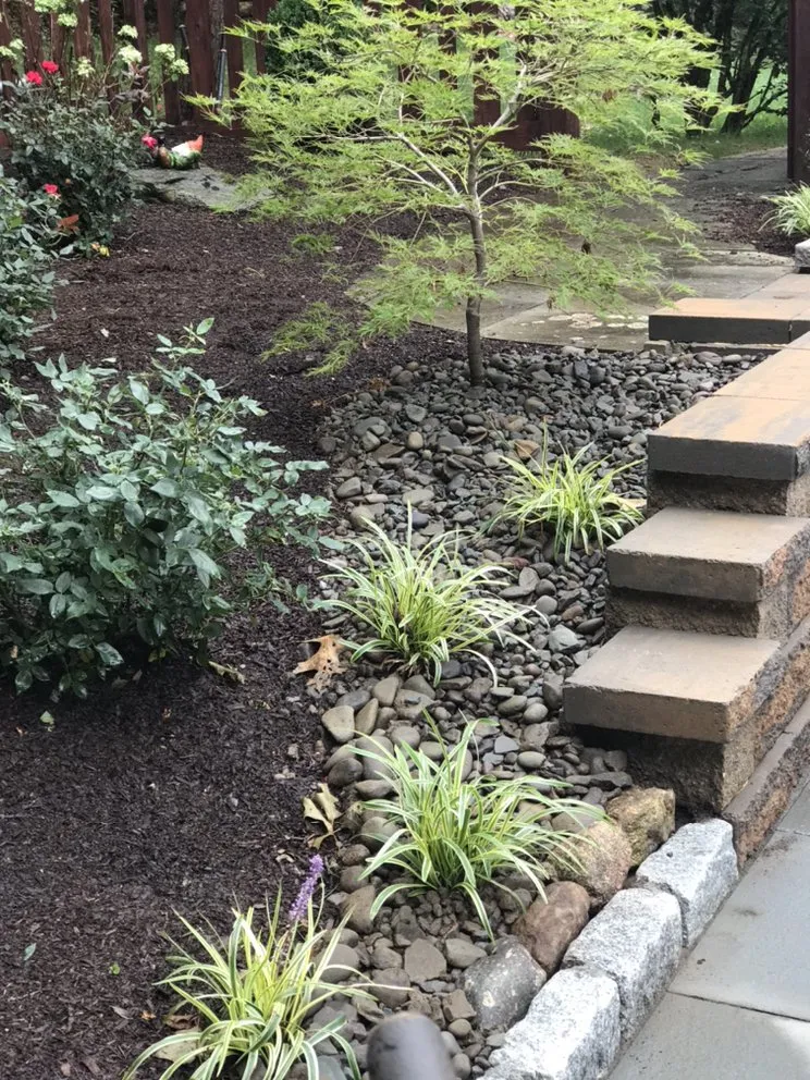 Expert lawn mowing service experts serving Danbury, CT - Sergio Reis