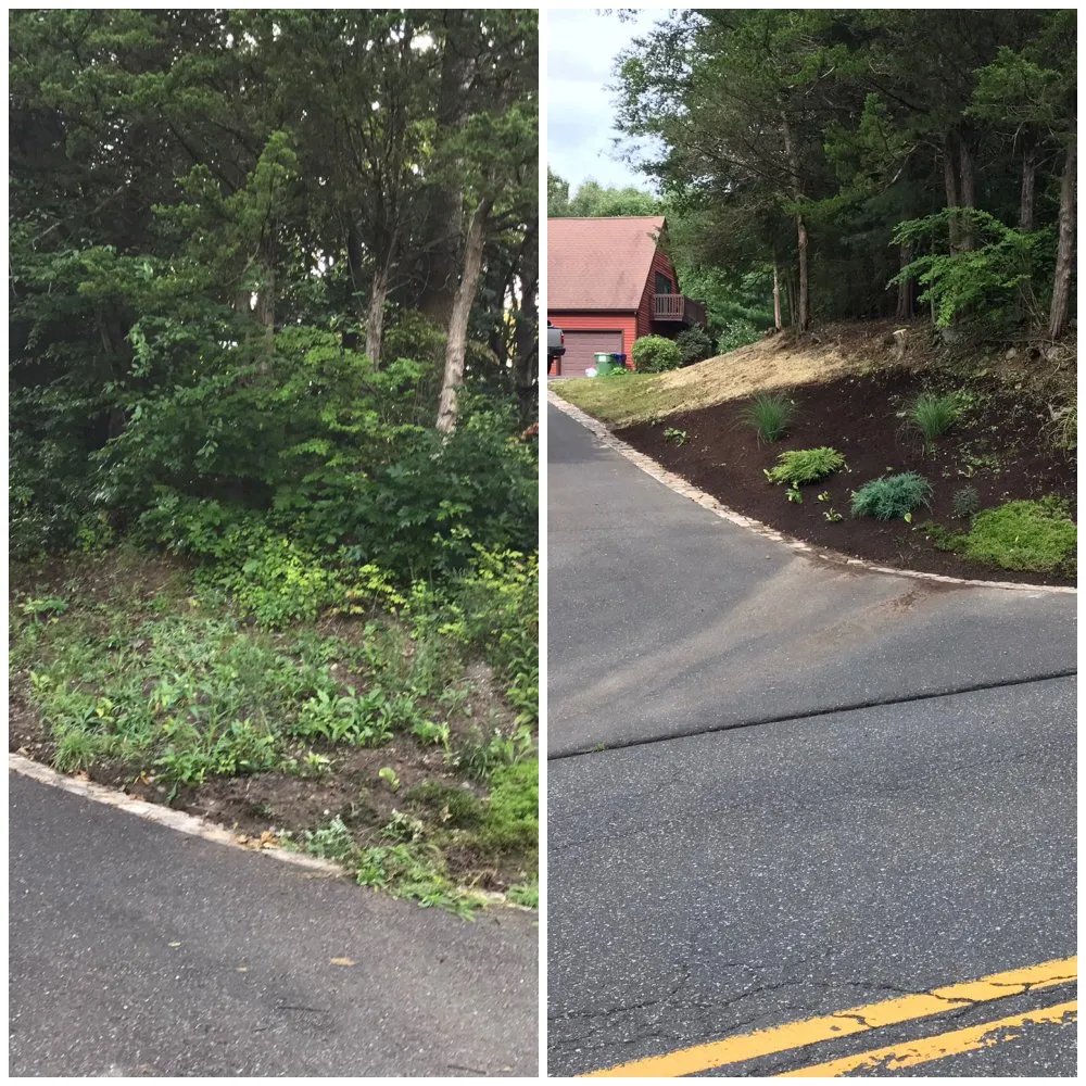 Trusted landscape installation for year-round maintenance across Danbury, CT - Sergio Reis