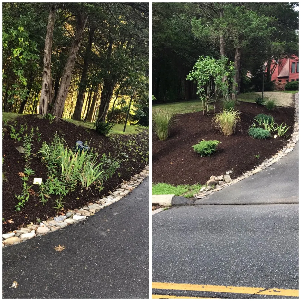 Reliable yard maintenance experts serving Danbury, CT - Sergio Reis