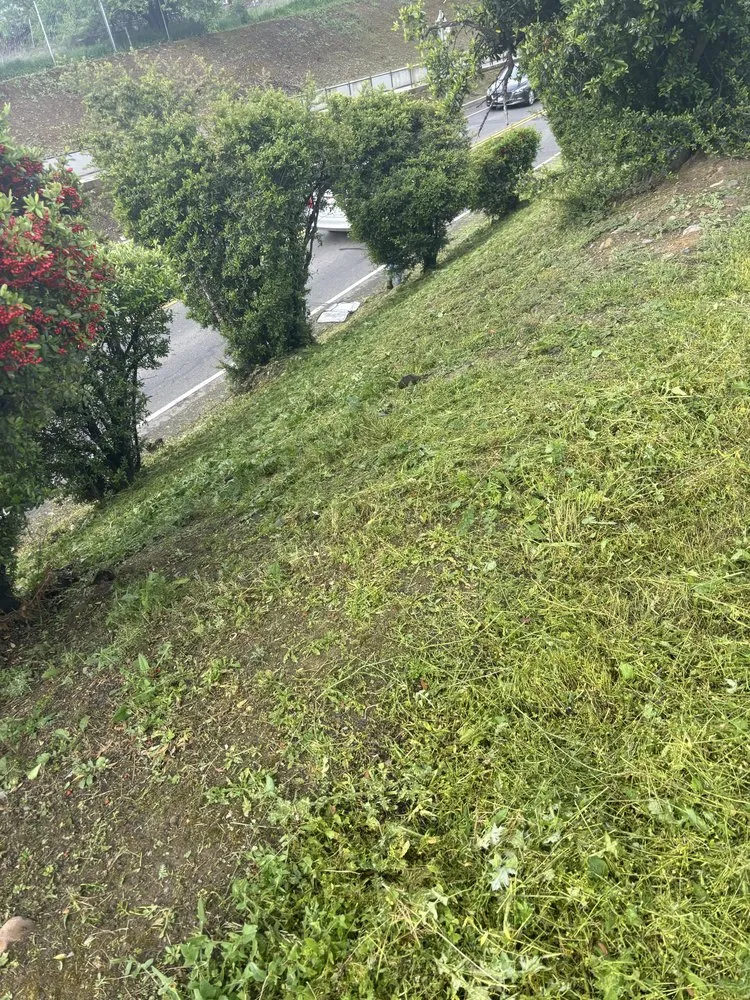 Top-rated landscape installation in Sacramento, CA by Sergio S Gardening