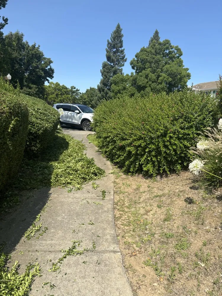 Reliable landscape installation experts serving Sacramento, CA - Sergio S Gardening