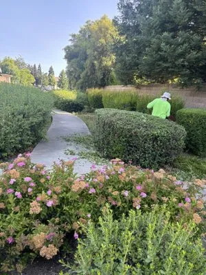 Sergio S Gardening Logo