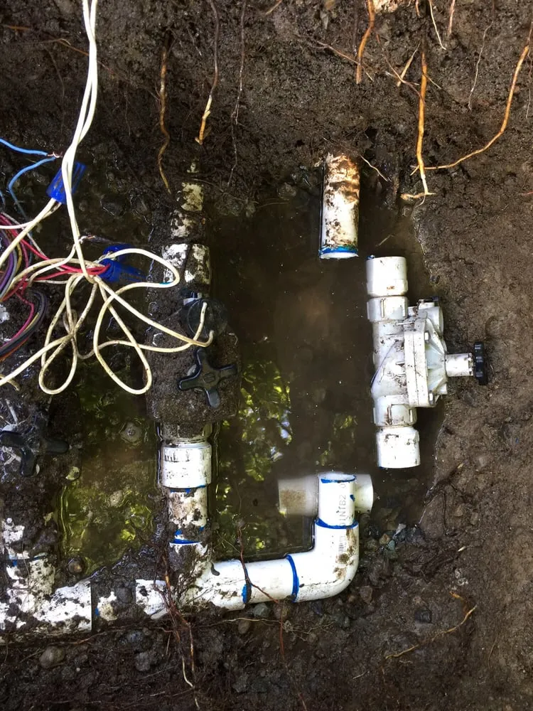 Top-rated lawn mowing service experts serving Kingston, WA - Sergio's Handyman & Landscaping