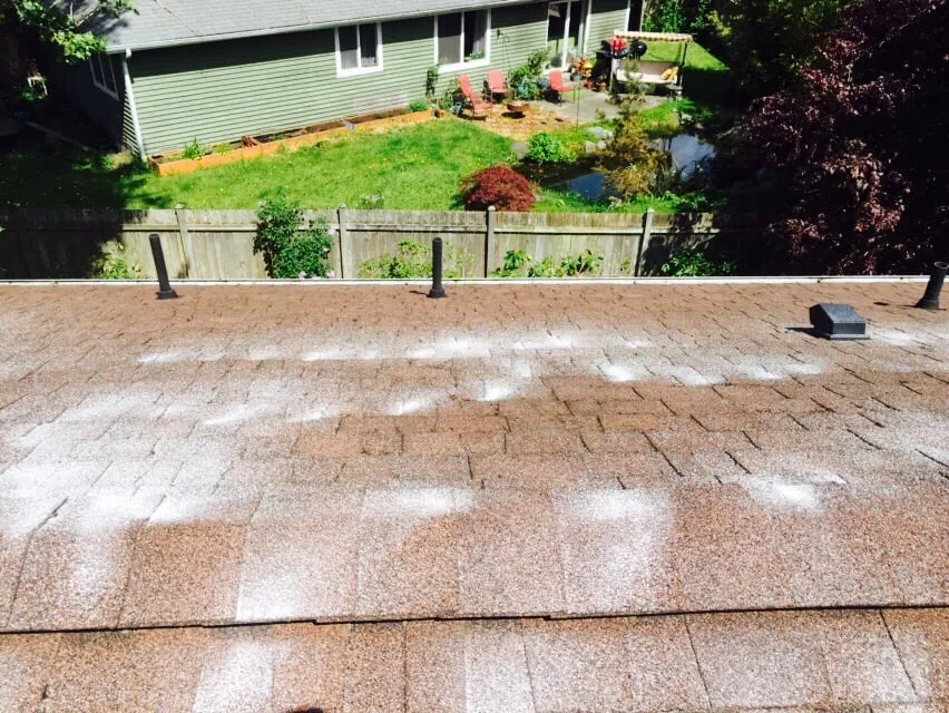 Custom outdoor landscaping for year-round maintenance in Kingston, WA by Sergio's Handyman & Landscaping