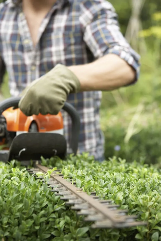 Local landscaping services in Kingston, WA - Sergio's Handyman & Landscaping