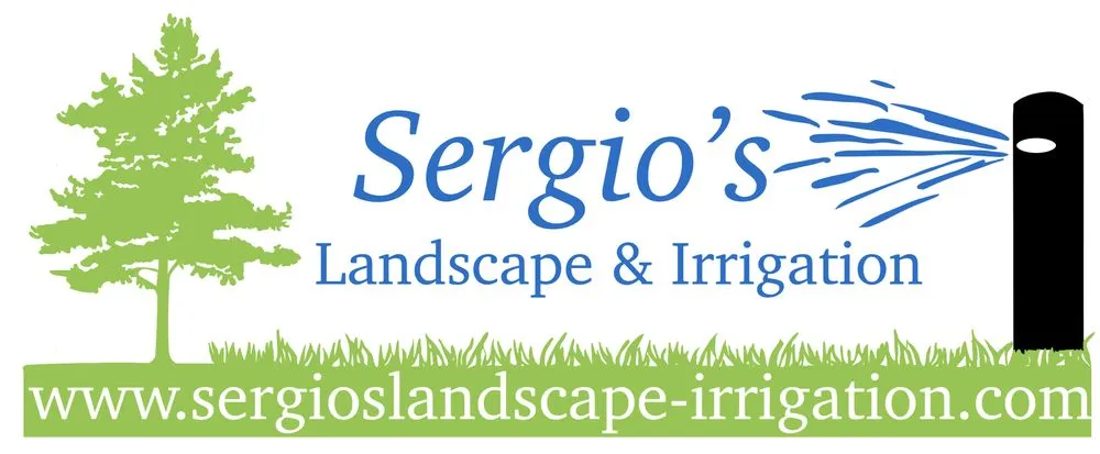 Professional yard cleanup service in Weatherford, TX by Sergio's Landscape & Irrigation