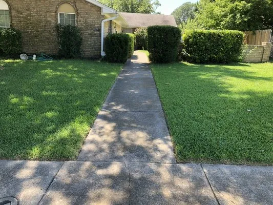 Sergio’s Landscape And Lawncare Logo