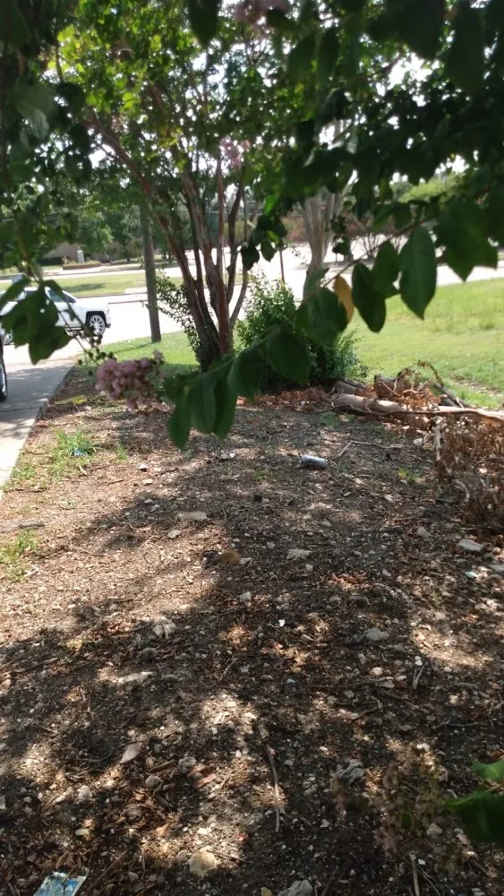 Custom residential landscaping experts serving Dallas, TX - Sergio's Landscaping and Lawn Service