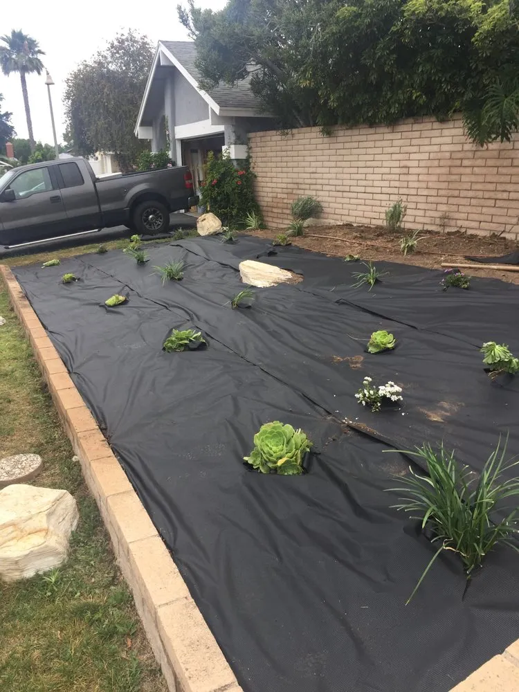 Expert residential landscaping for residential properties in Garden Grove, CA by Sergio’s Landscaping Maintenance and Design