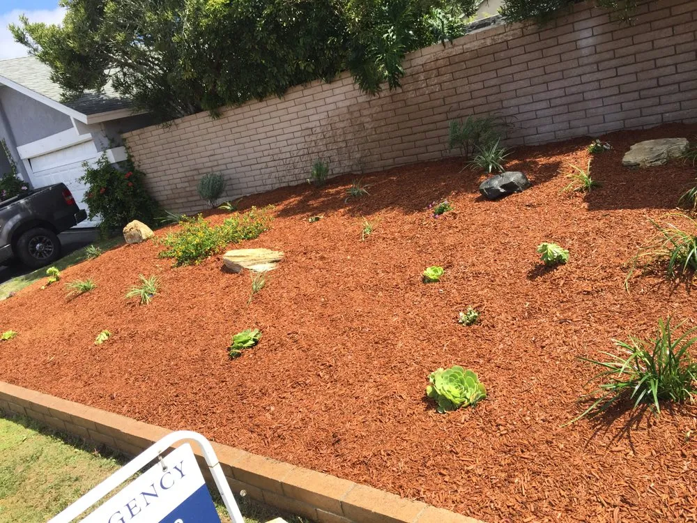 Professional yard cleanup service in Garden Grove, CA by Sergio’s Landscaping Maintenance and Design