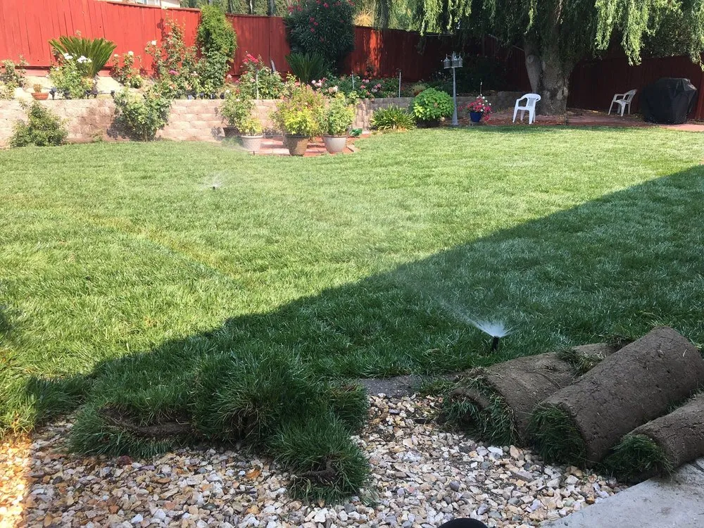 Trusted landscape installation in Brentwood, CA by Sergio’s Landscaping Y Maintenance