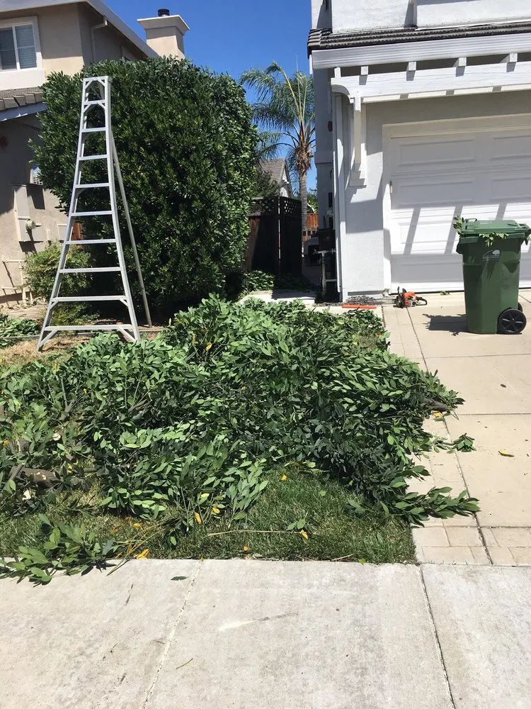 Affordable residential landscaping in Brentwood, CA by Sergio’s Landscaping Y Maintenance