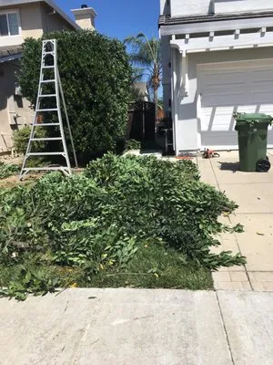 Sergio’s Landscaping Y Maintenance Logo