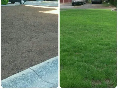 Reliable landscaping services for beautiful yards across Poulsbo, WA - Sergio's Landscaping Y Mas