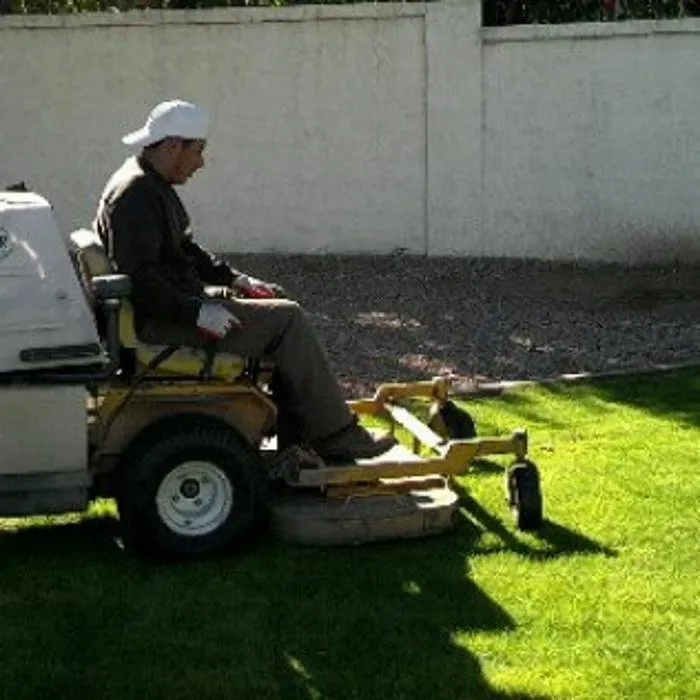 Affordable landscaping services in Phoenix, AZ - Sergio's Lawn Services