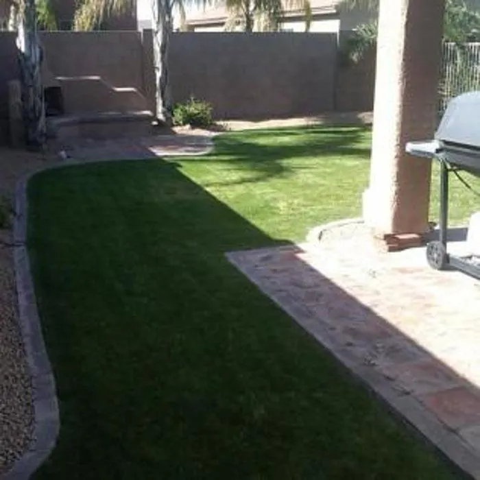 Local residential landscaping in Phoenix, AZ by Sergio's Lawn Services