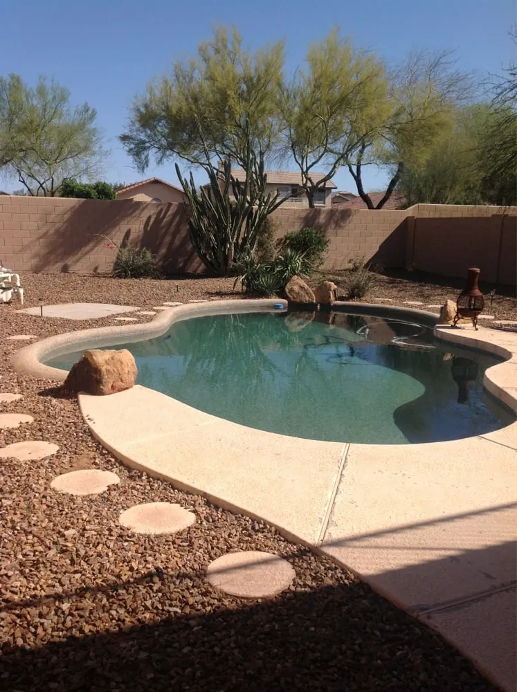 Professional yard cleanup service experts serving Phoenix, AZ - Sergio's Lawn Services