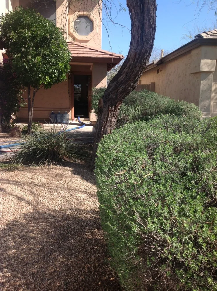 Custom landscaping services in Phoenix, AZ by Sergio's Lawn Services